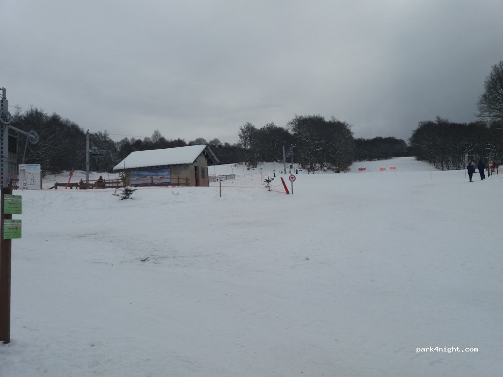 (12470) Prades-d'Aubrac - Bois d'Aubrac — foto 2