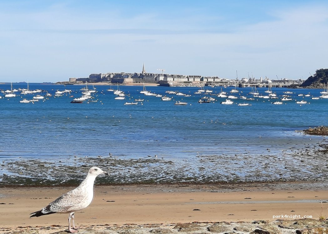 (35800) Dinard - 2B Avenue de la Vicomte — foto
