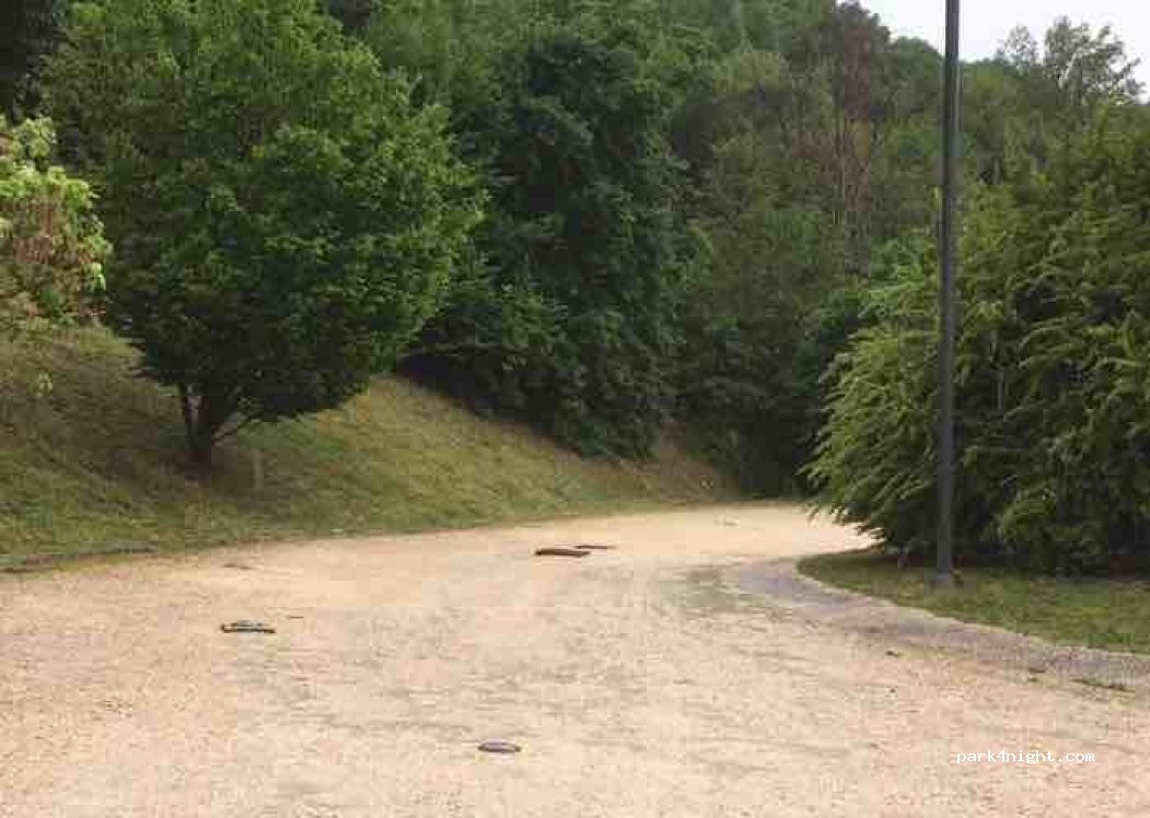(02032) Fara in Sabina - Strada degli Inglesi — foto 4