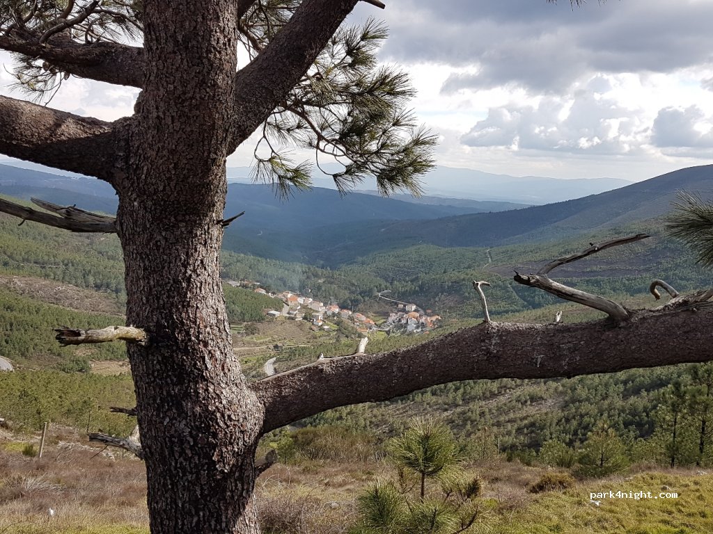 (6285) Seia - N231 — foto 2