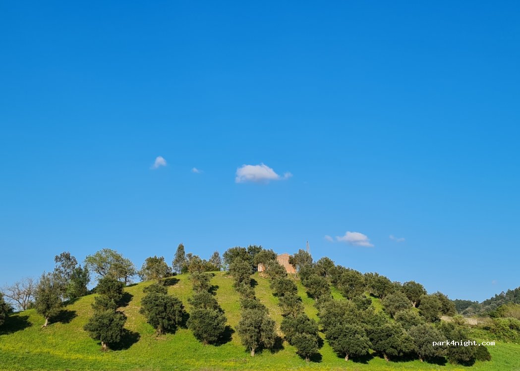 (87048) Tarsia - Unnamed Road — foto 3