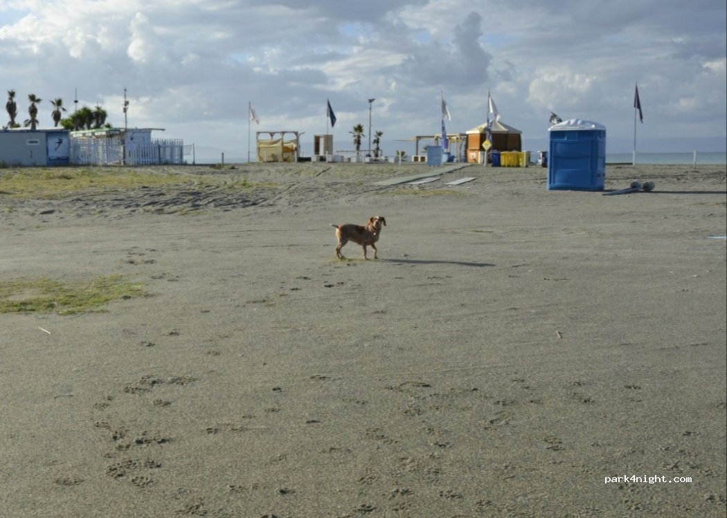 (88040) Gizzeria Lido - Unnamed Road — foto 4