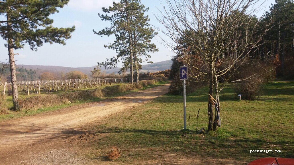 (71960) La Roche-Vineuse - 5356F Route des Pérelles — foto 2