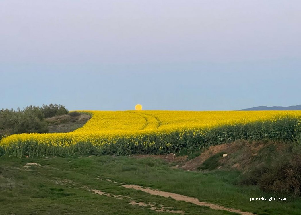 (31448) Artieda - Carretera de Urraúl Alto — foto 3
