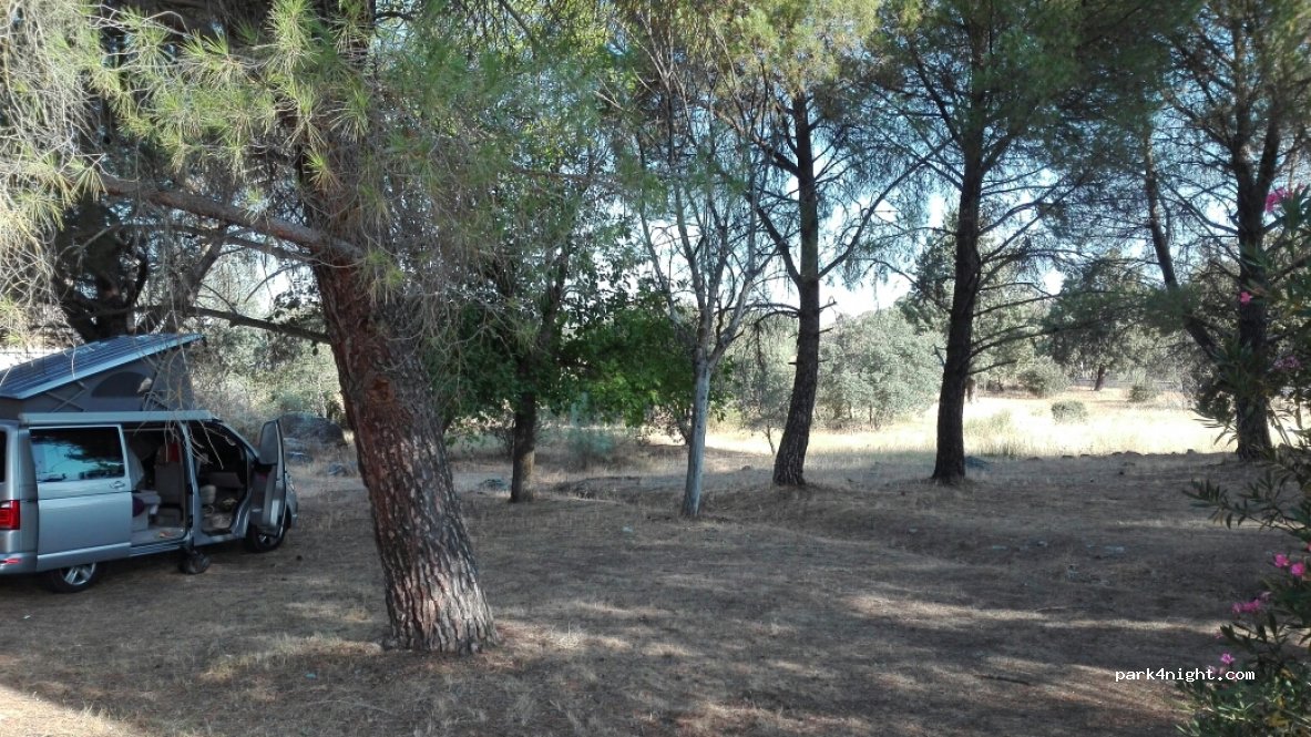 (10164) Cáceres - CC-142 — foto 2