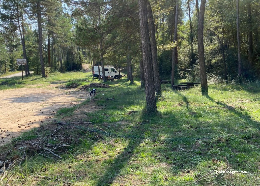 (08612) Montmajor - Unnamed Road — foto