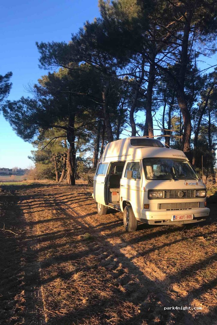 (42218) Viana de Duero - 7 CL-101 — foto