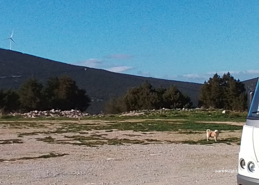 (213 00) Pelei - Eparchiaki Odos Ligourio - Porto Cheli — foto 4