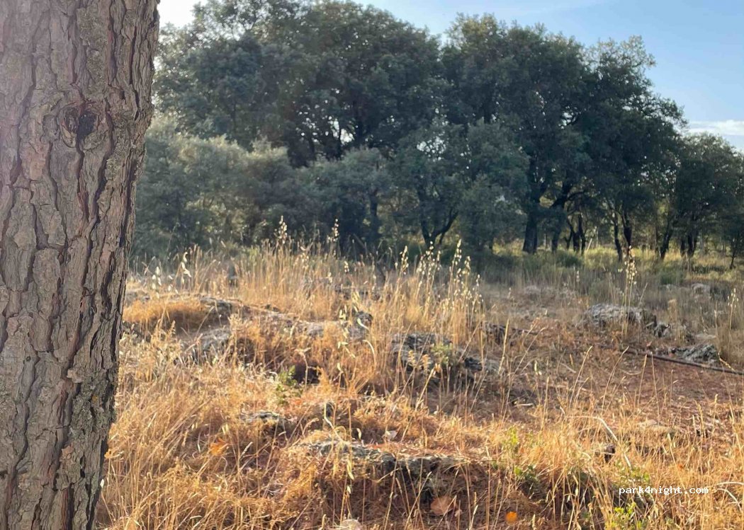 Camping Municipal Conejeras — foto 2