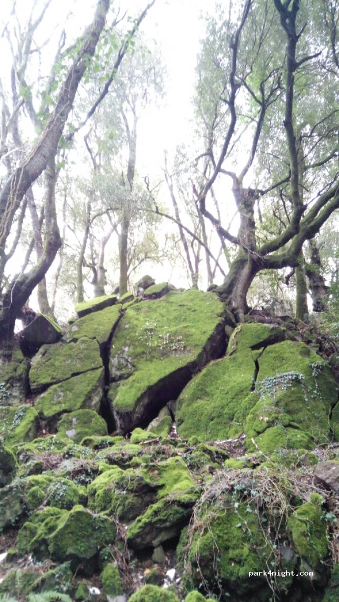 (01021) Torre Alfina - 4 Via Vincenzo Cardarelli — foto 2