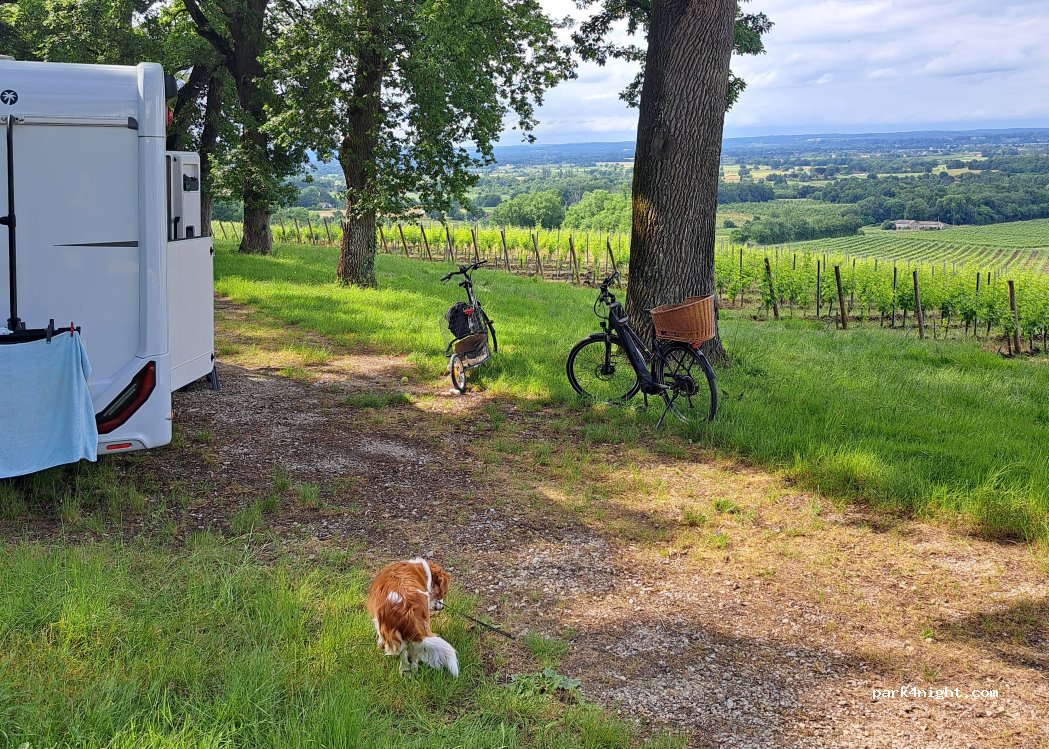 Domaine de Montlong — foto 5