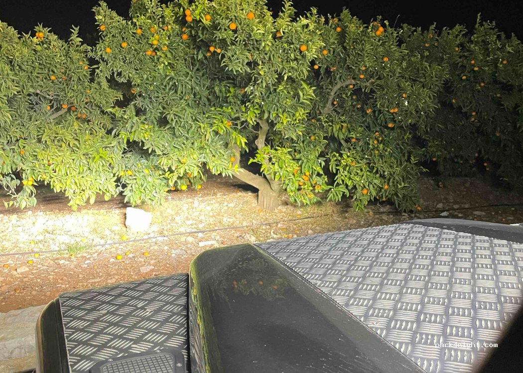 (12570) Alcalà de Xivert - Camí del Calvari — foto 4