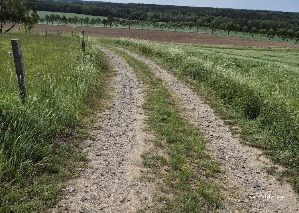 (01909) Großharthau - Unnamed Road — foto 4