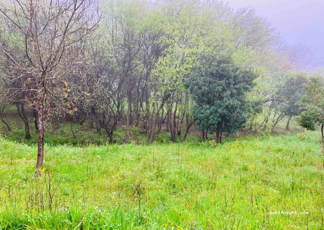 (6000) Castelo Branco - — foto 4