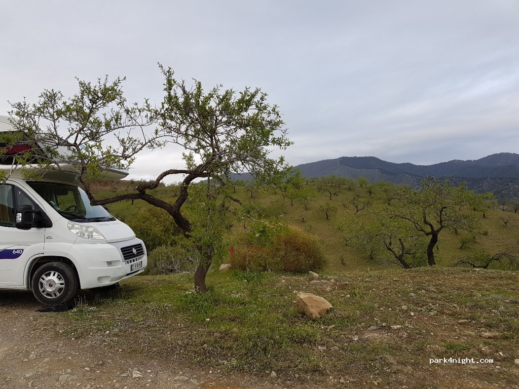 (29591) Málaga - Camino Forestal a la Fuente — foto