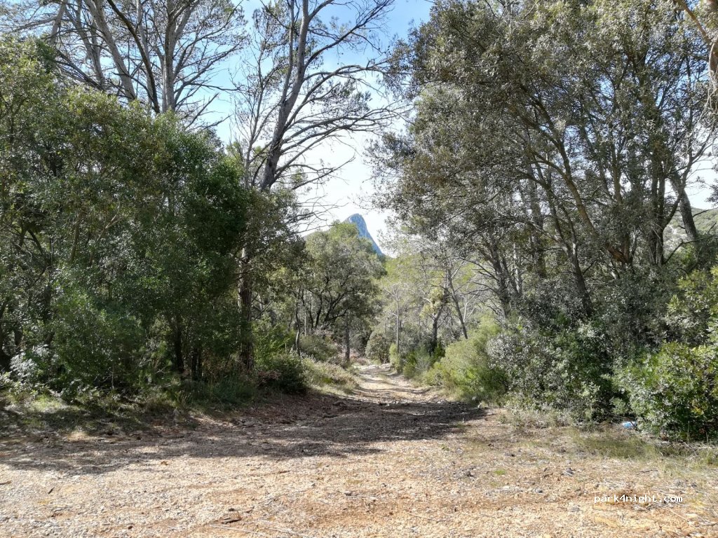 (34270) Saint-Mathieu-de-Tréviers - D1 — foto