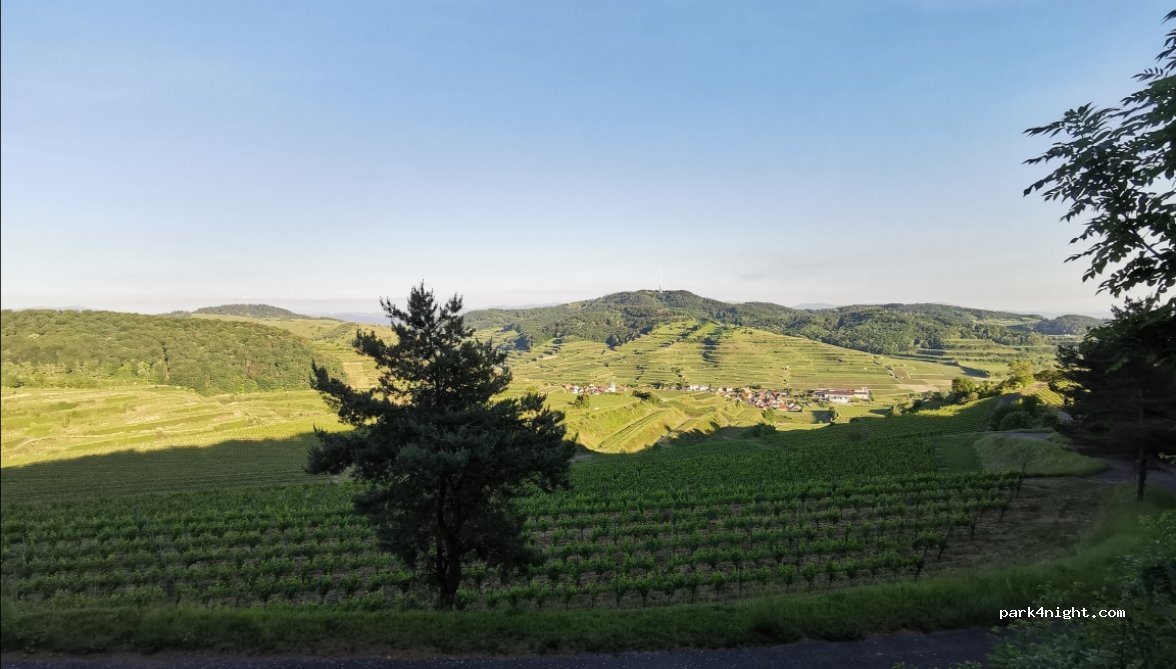 (79235) Vogtsburg im Kaiserstuhl - Abzweigung Oberbergener Str. — foto 2
