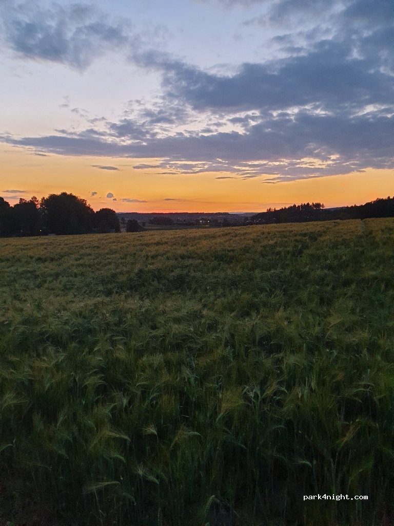 (8602) Wangen-Brüttisellen - Effretikonstrasse — foto 4
