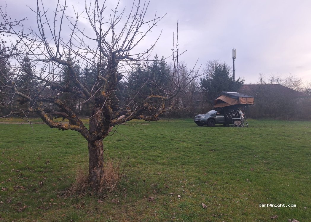 Weingut Gamm — foto 4