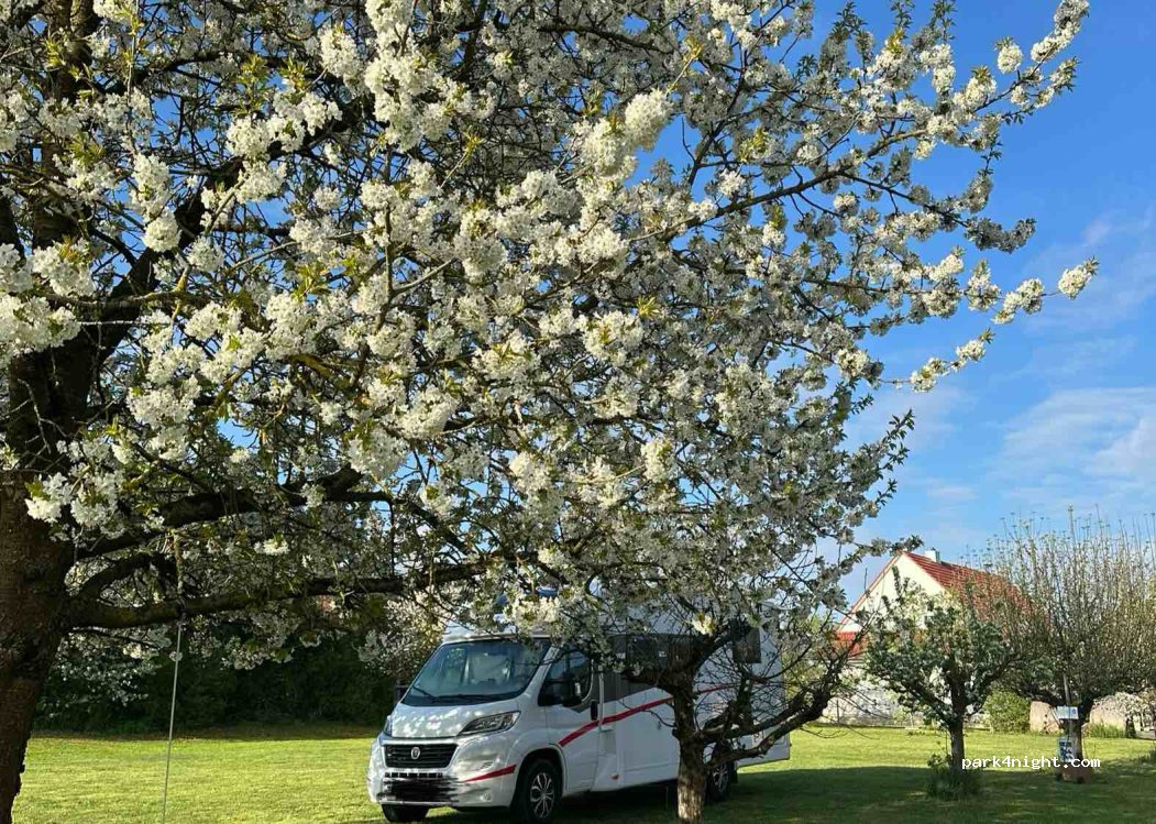 Weingut Gamm — foto 5