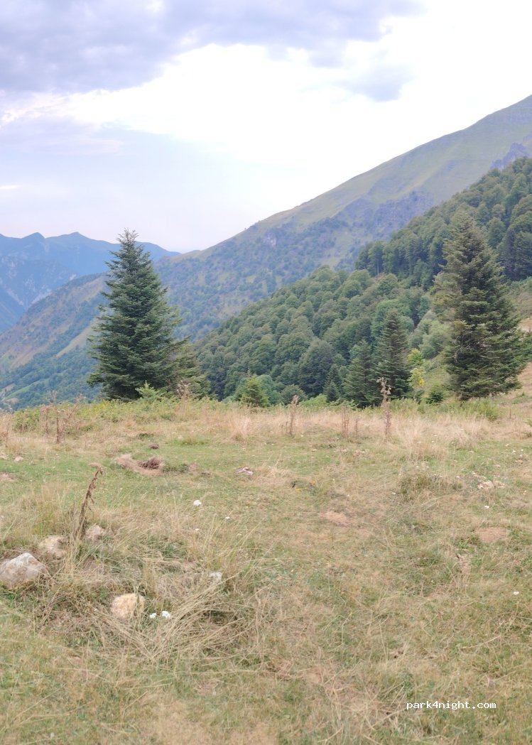 (65400) Arrens-Marsous - 14 Chemin des Artigaux — foto 4