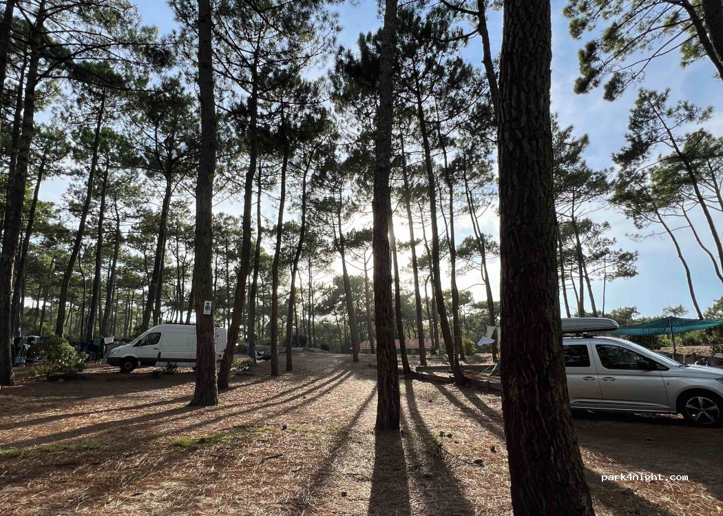 Camping Municipal du Cap de l'Homy — foto 3