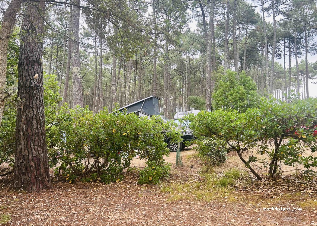Camping Municipal du Cap de l'Homy — foto 5