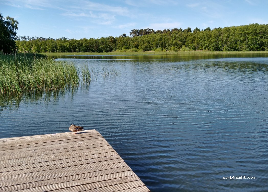 FKK Campingplatz am Rätzsee — foto 5