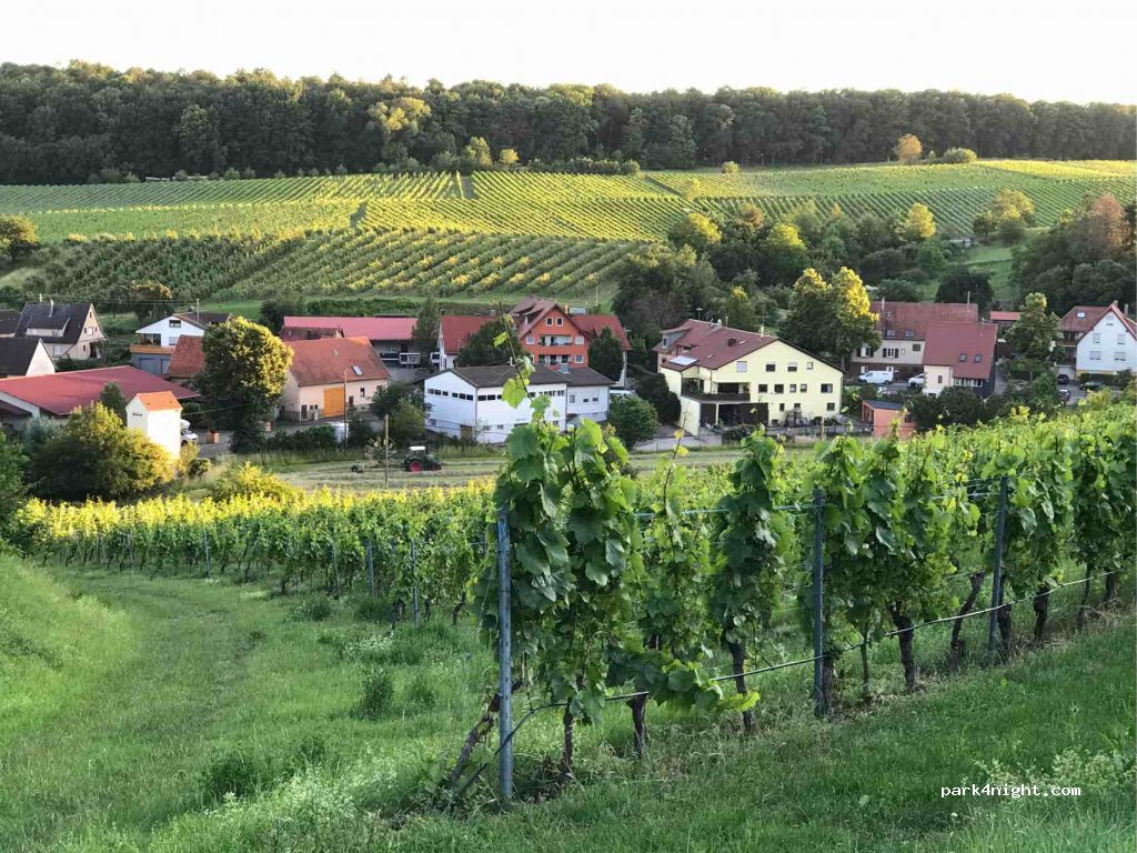 Echle Weingut — foto