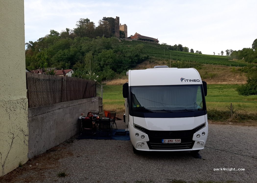 Echle Weingut — foto 2