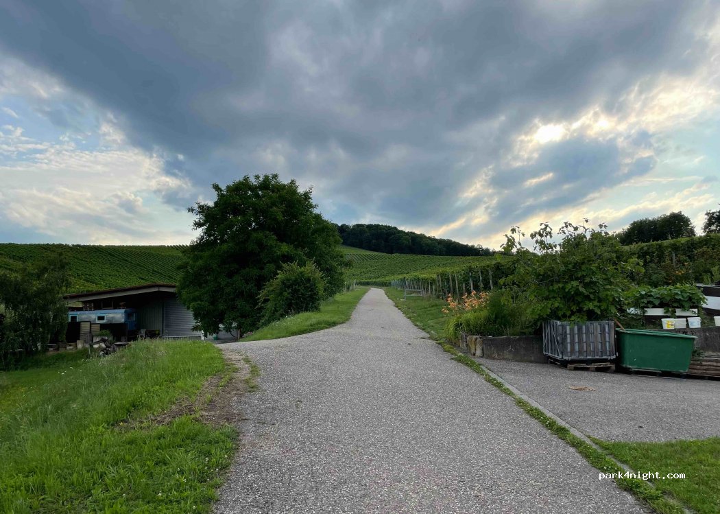 Weingut Sommer Haberschlacht — foto 2