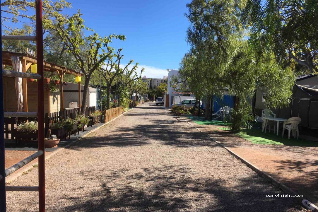 Camping Florida — foto 3