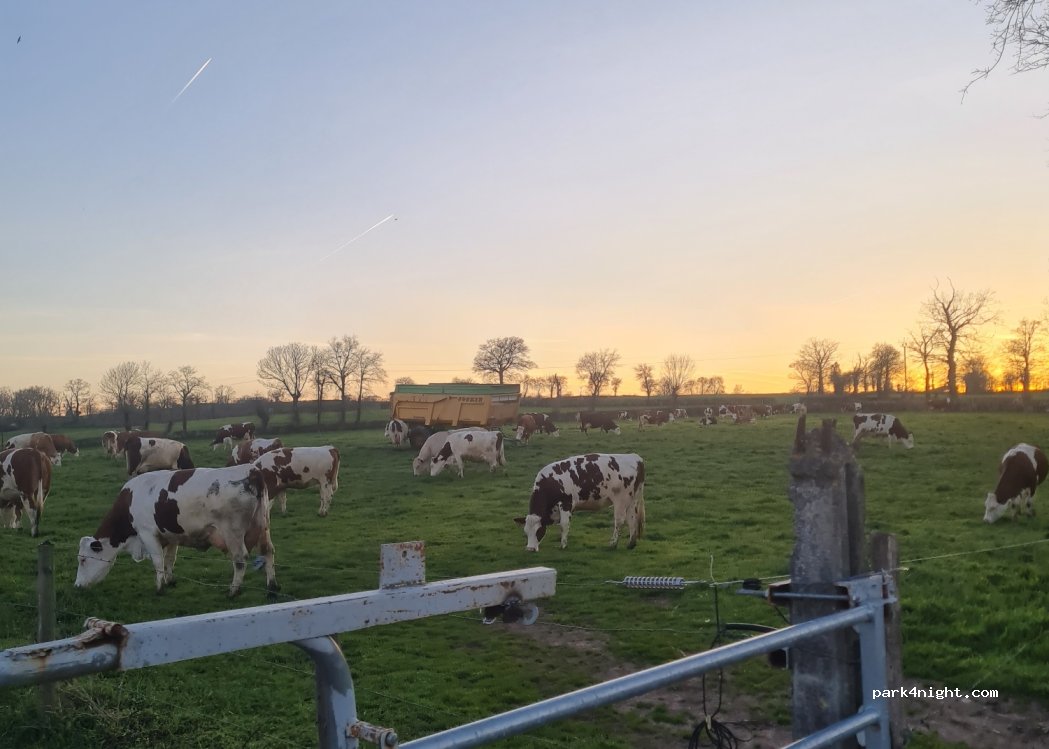 La Ferme du Gazenas — foto 3