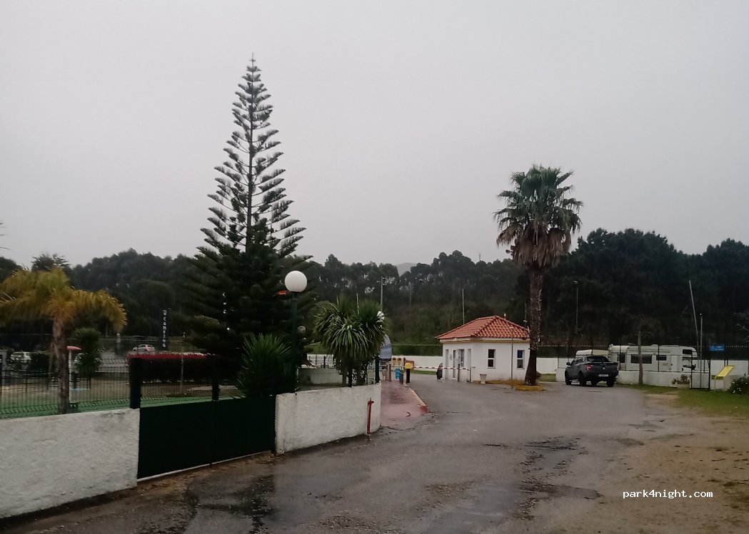 Sereia da Gelfa — foto