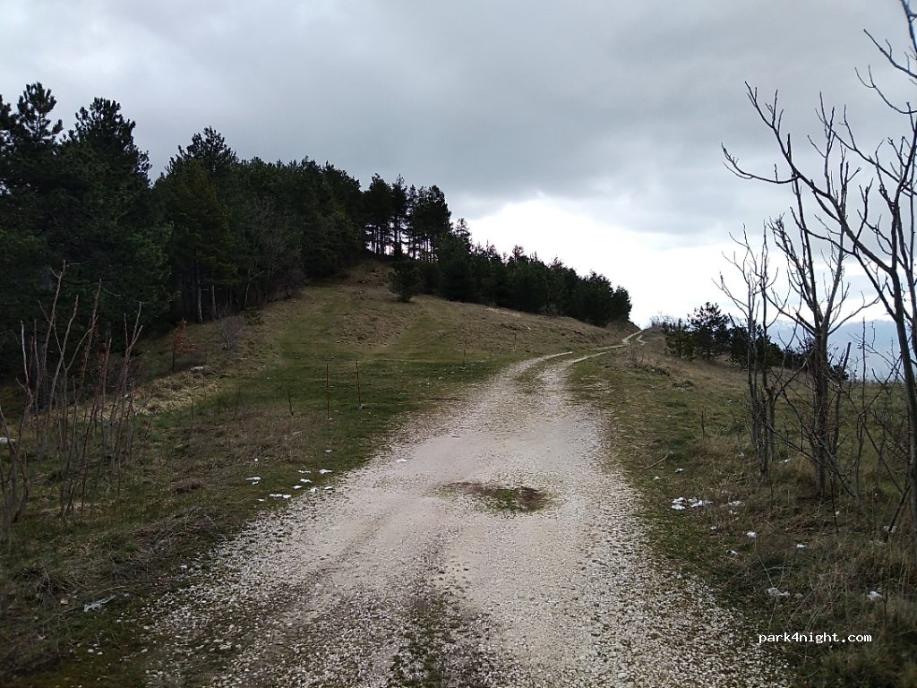 (03041) Valle Massima - SR509 — foto