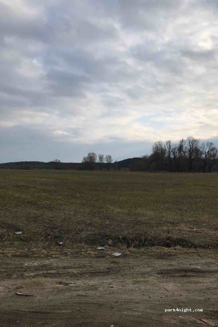 () Brzoza/Karczemka - Droga Wojewódzka 258 — foto 2