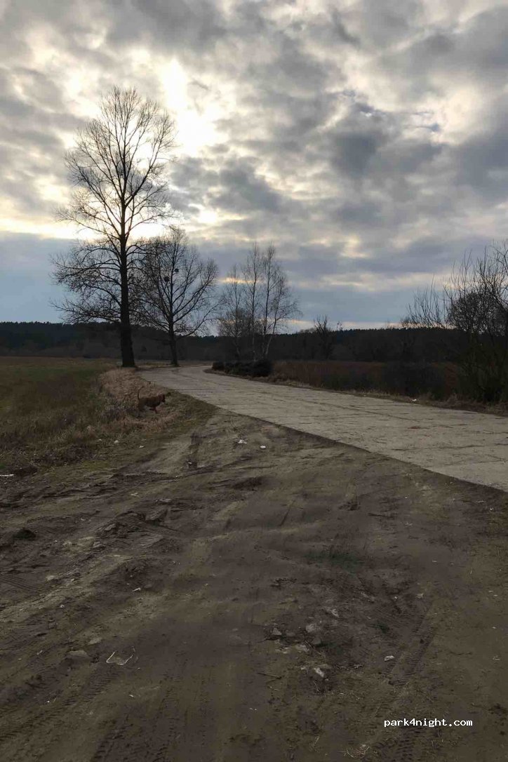 () Brzoza/Karczemka - Droga Wojewódzka 258 — foto 3