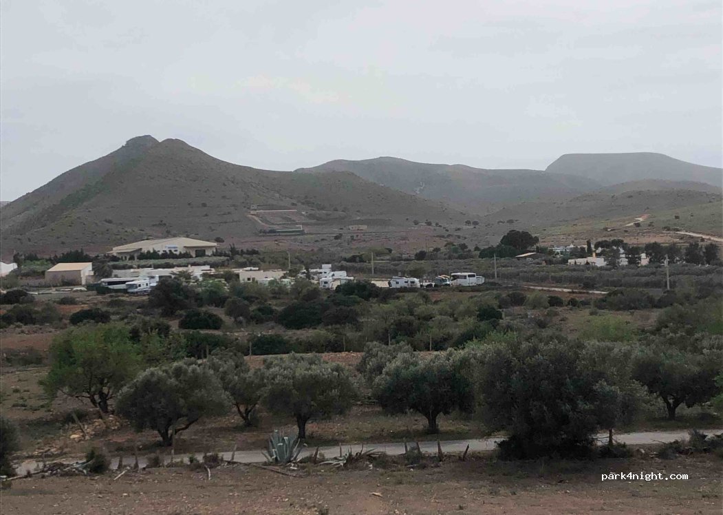 (04116) Albaricoques - c/Cortijo Jurado, s/n — foto 3