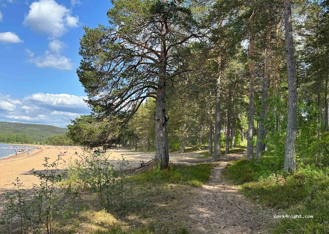 Ljusdals Camping — foto 2