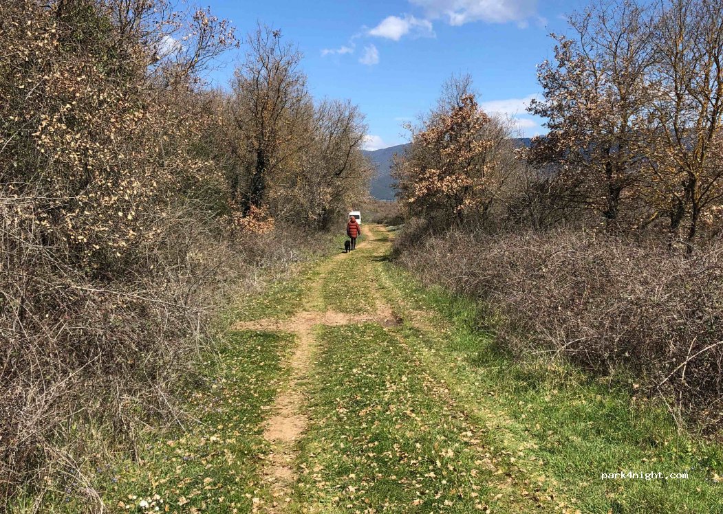 (220 22) Karitainas - Eparchiaki Odos Nedas - Karitainas — foto 2