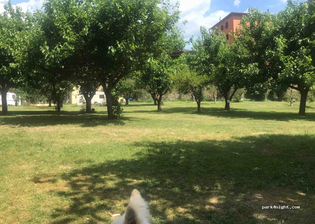 Camping Buchaca — foto