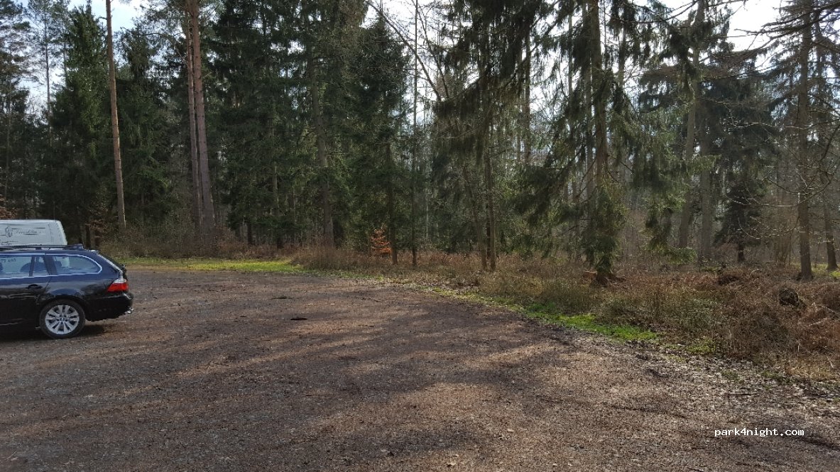 (31311) Uetze - Spreewaldallee — foto 2