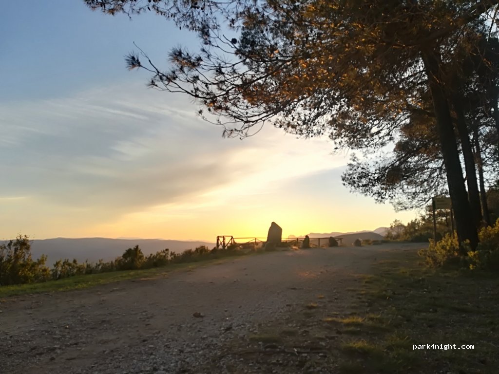 (29711) Alcaucín - Camino de los Colmenares — foto