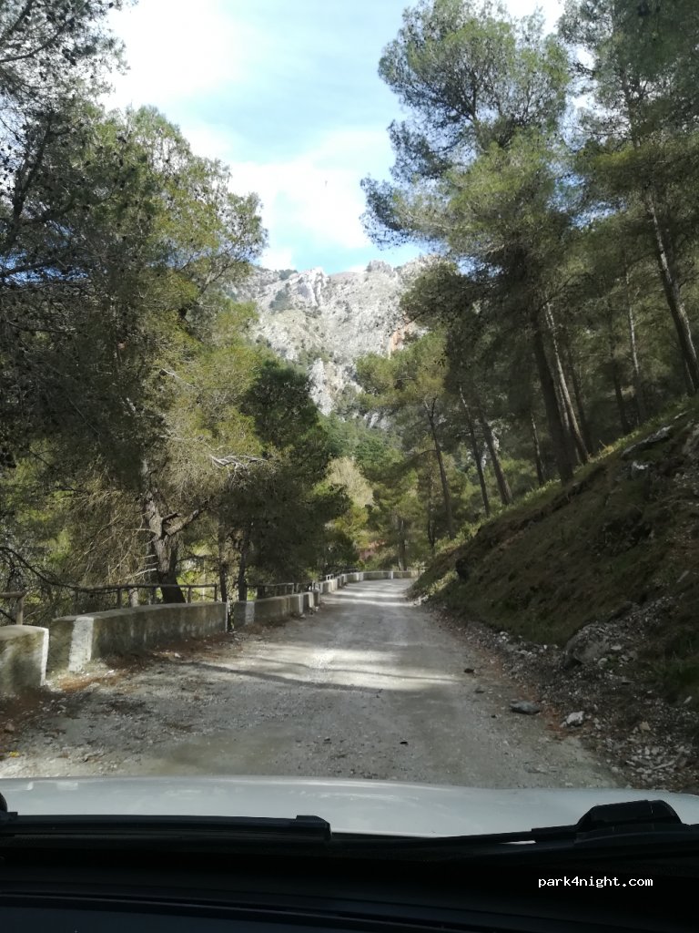 (29711) Alcaucín - Camino de los Colmenares — foto 2