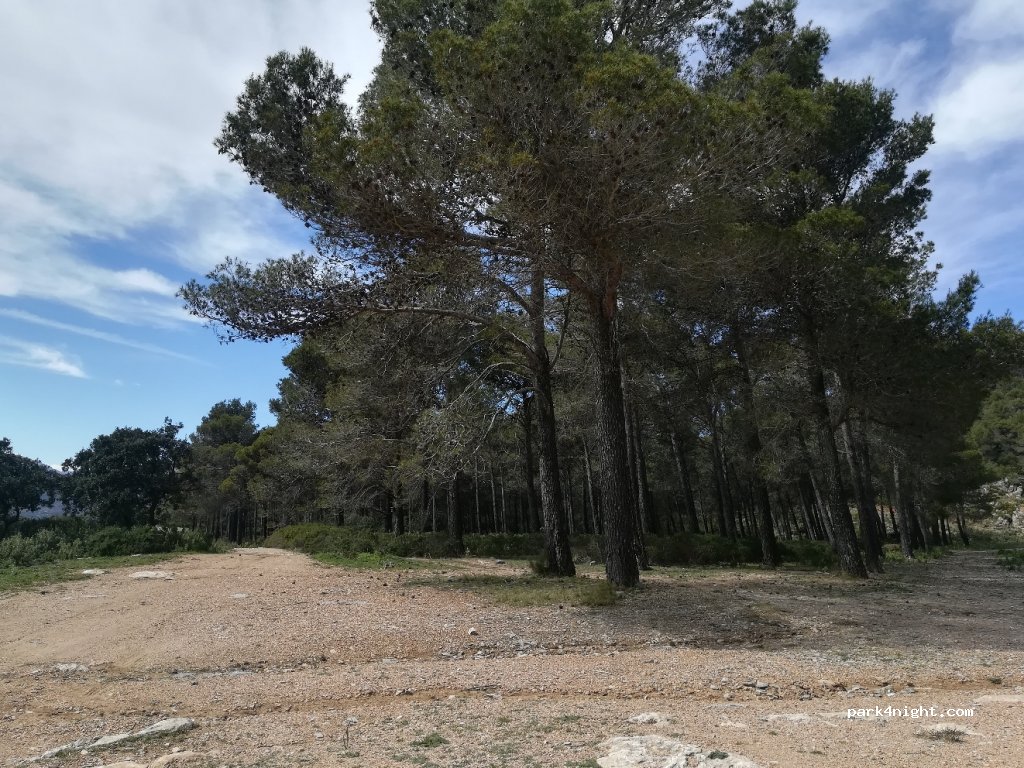 (29711) Alcaucín - Camino de los Colmenares — foto 3