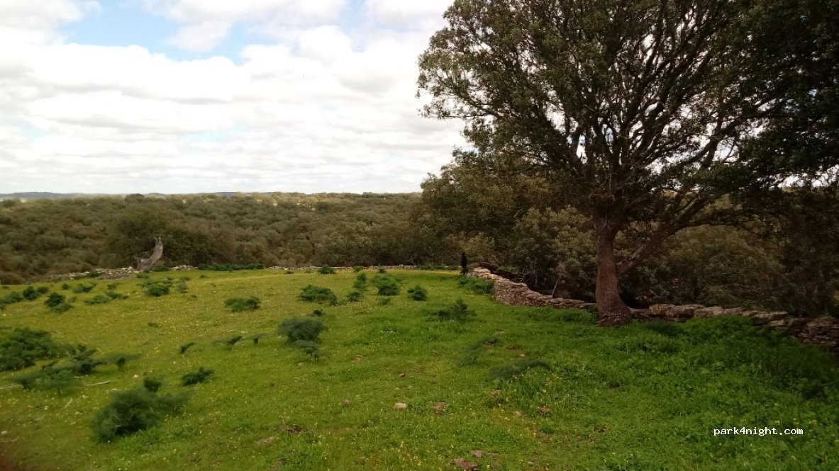 (10188) Botija - Unnamed Road — foto 4
