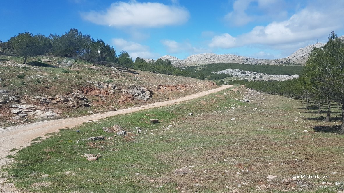 (29420) El Burgo - Carril de las Víboras — foto 3