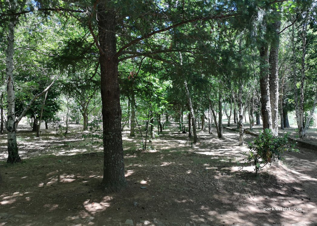 Parque de Campismo Rural Vale do Beijames — foto 4