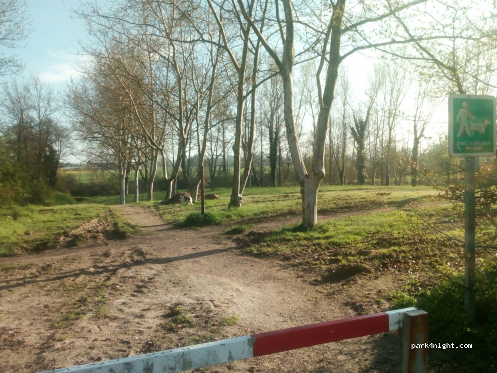(82350) Albias - 15B Rue du Port — foto 3