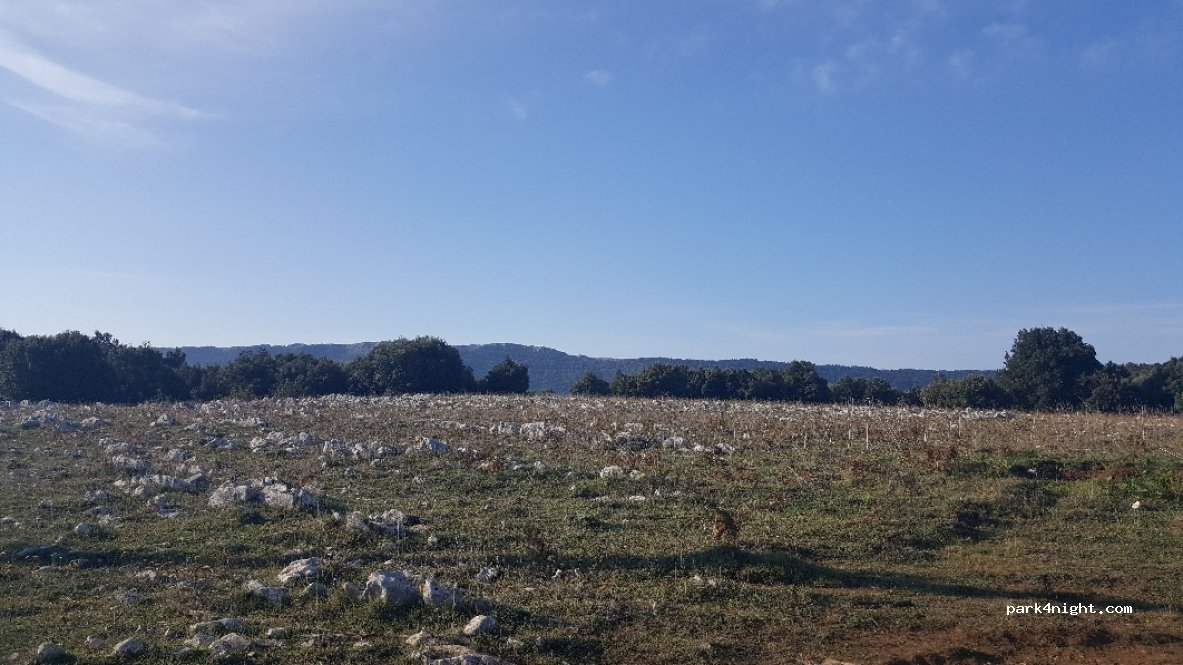 (71037) MONTE SANT' ANGELO / SAN GIOVANI ROTO - Parco — foto